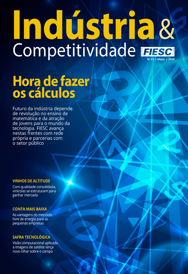 Revista Indústria e Competitividade 33