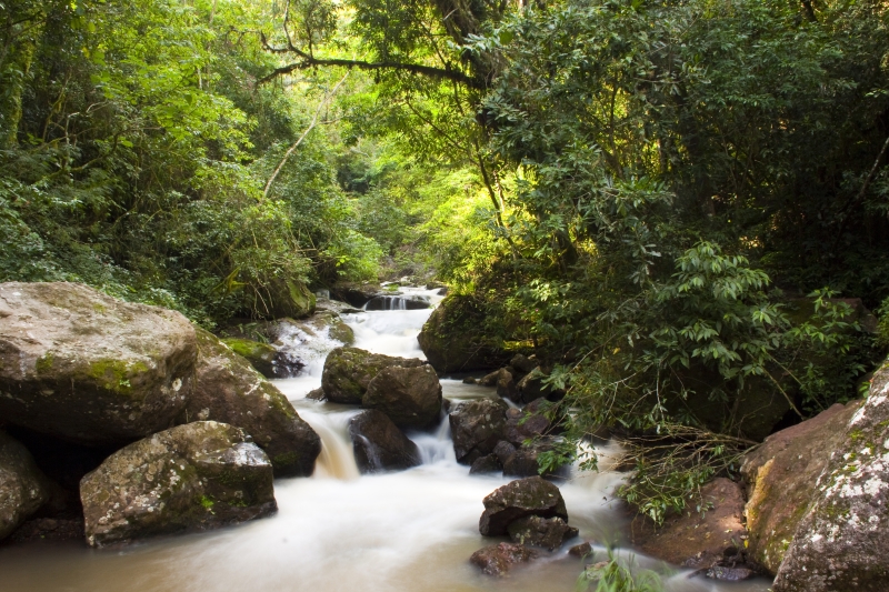Preservação dos recursos naturais está entre objetivos de parceria que será firmada na FIESC, em Florianópolis (Foto: Plinio Bordin)