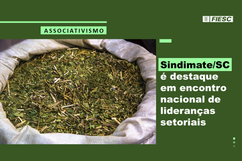 Indicação geográfica da erva-mate qualifica indústria do Planalto Norte