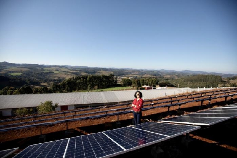 Em SC, BRF instala painéis solares em granjas de produtores