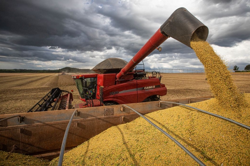 Conab estima safra recorde de 317,6 milhões de toneladas de grãos em 2023