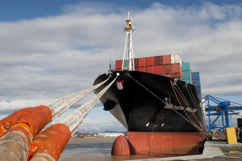 Entre os principais compradores dos produtos embarcados em Santa Catarina, a China reduziu suas compras em 27,2%. (Foto: Markito)