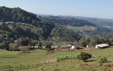 Estado de regeneração