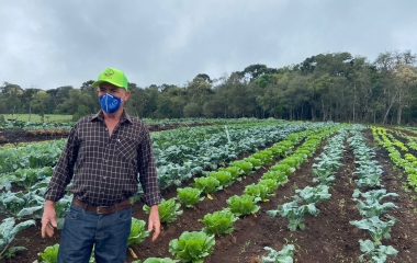 Resíduos industriais viram renda na agricultura