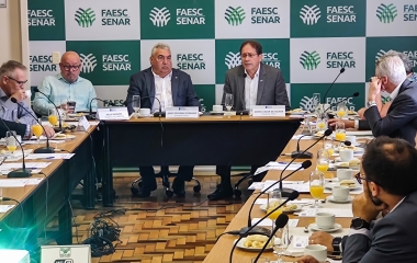 COFEM avalia impacto do comércio eletrônico nos negócios formais