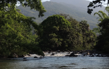 FIESC e entidades defendem Código de Meio Ambiente de SC