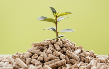 Pellets podem ser alternativa viável para indústrias reduzirem emissões