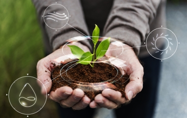 Participação do setor produtivo é essencial na regulamentação do mercado de carbono