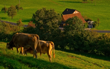Nova estrutura na Secretaria de Meio Ambiente vai agilizar Cadastro Rural, diz FIESC