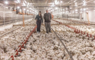 Deputados estaduais avaliam projeto para impulsionar cooperativas e agroindústrias