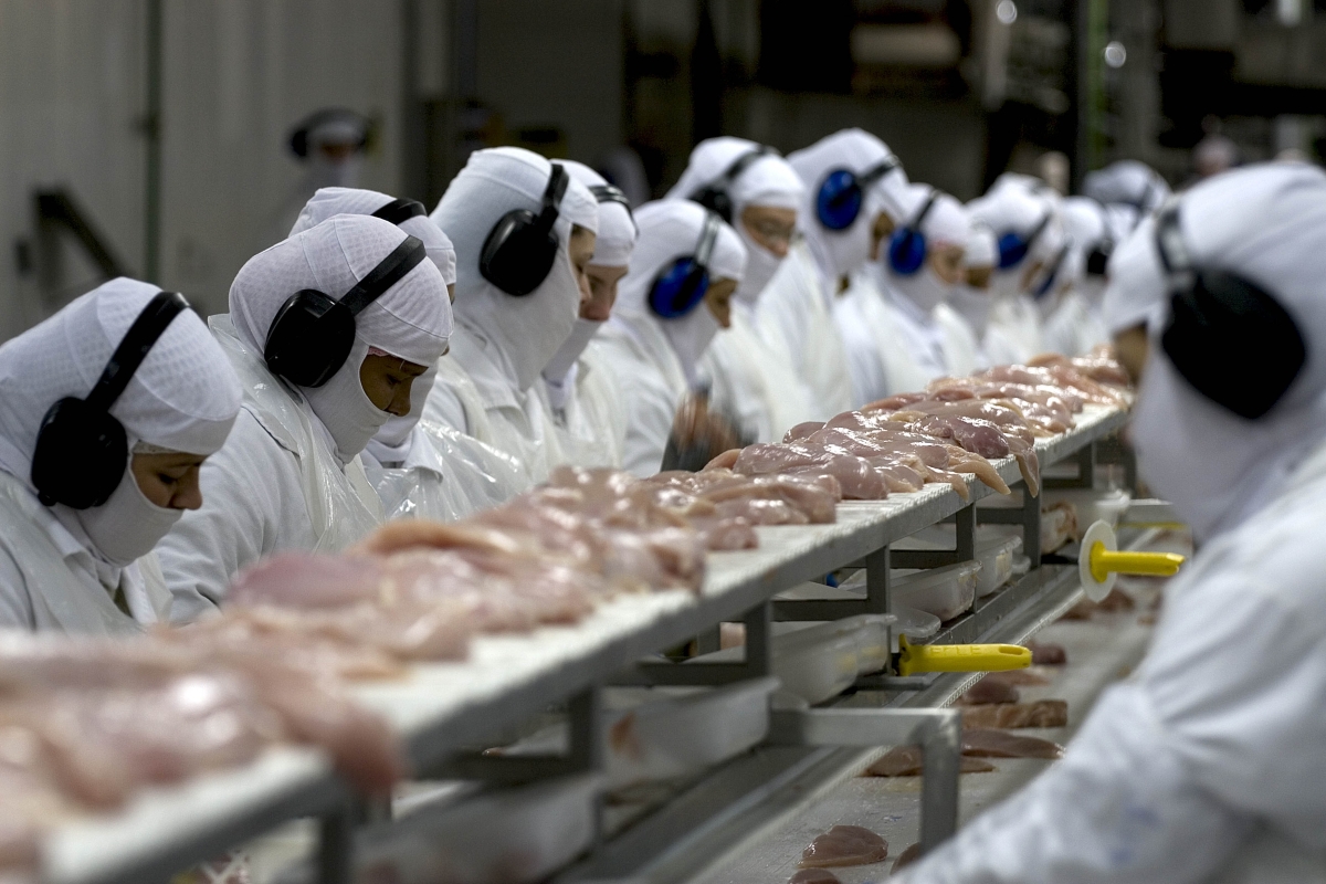 Alimentos