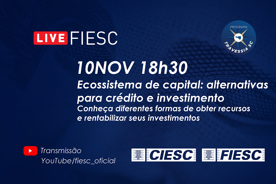 Ecossistema de capital: alternativas para crédito e investimento