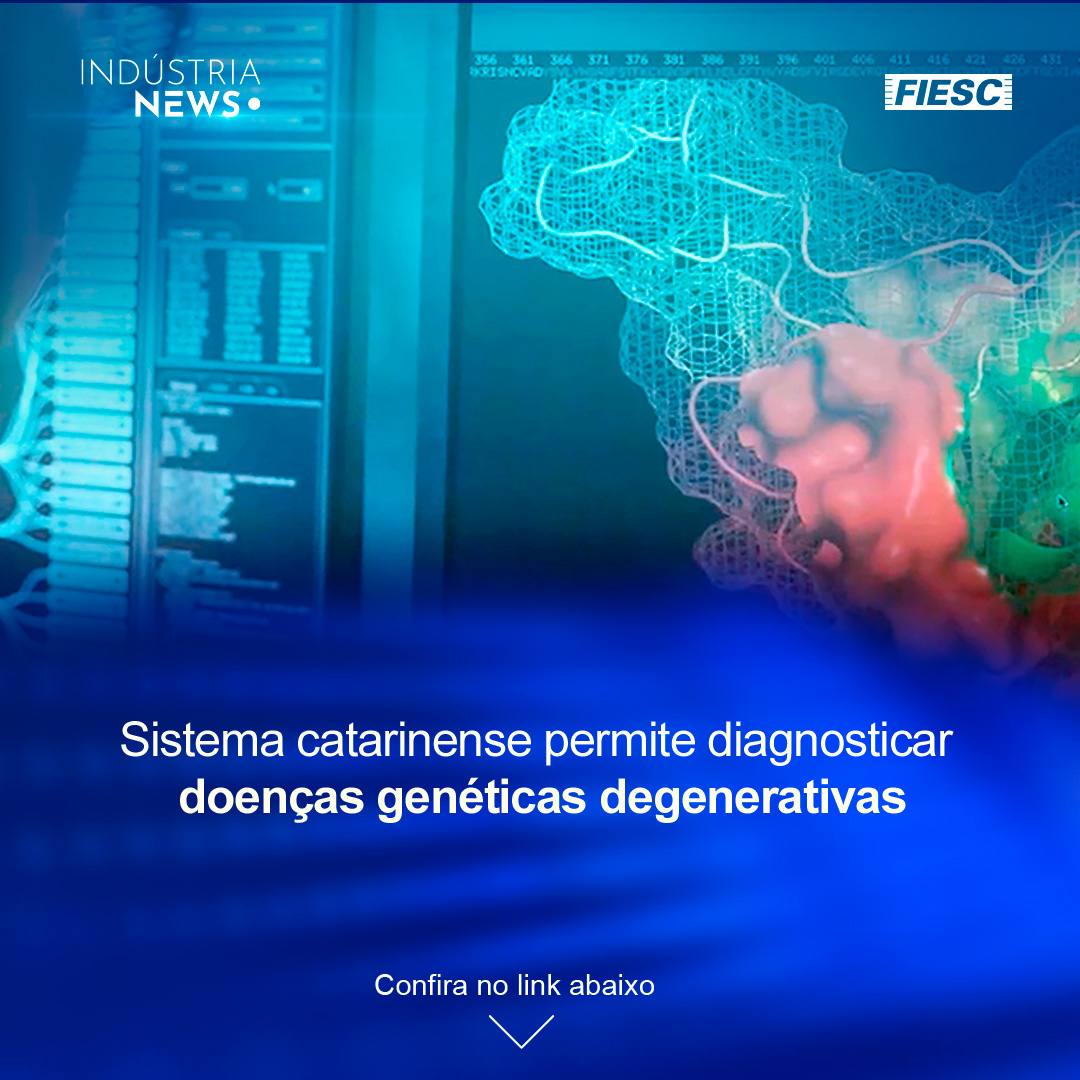 Sistema de SC identifica doenças degenerativas; publicado edital para concessão do Porto de Itajaí