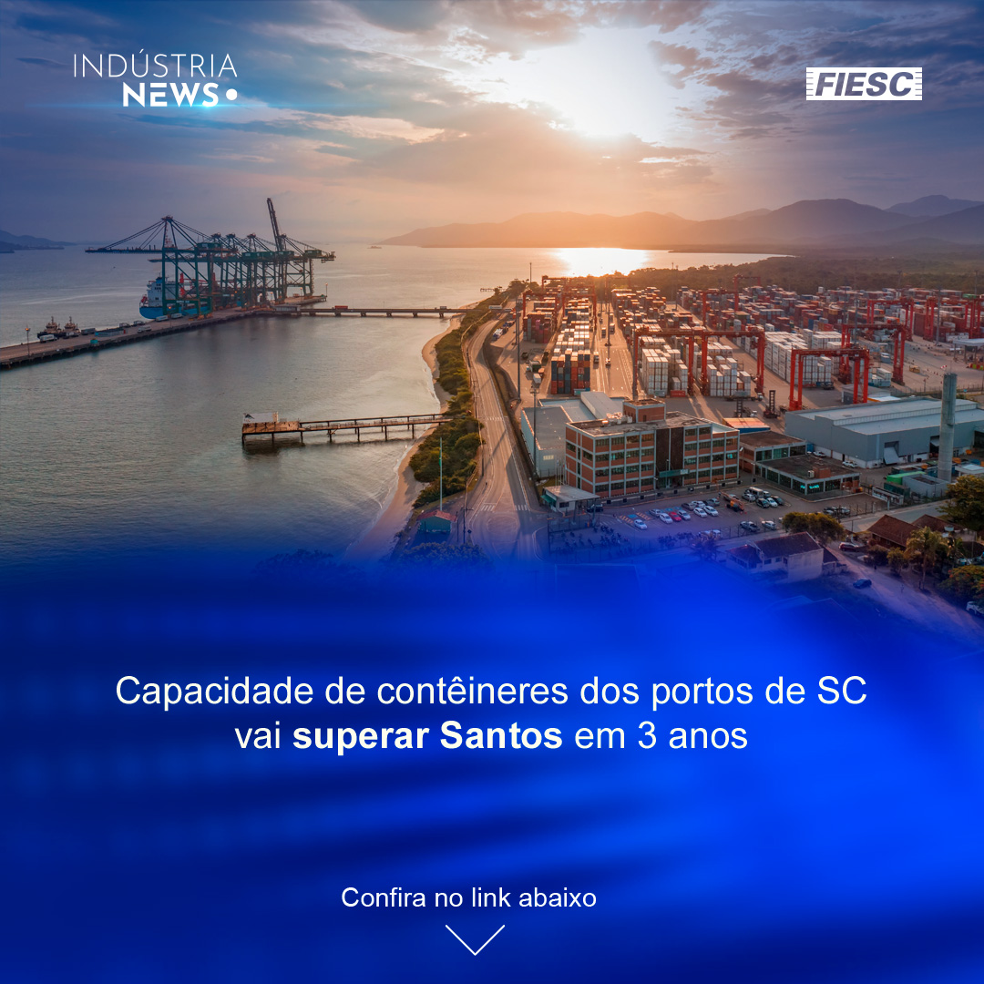 Portos de SC devem superar Santos em capacidade | O novo ciclo da madeira em SC