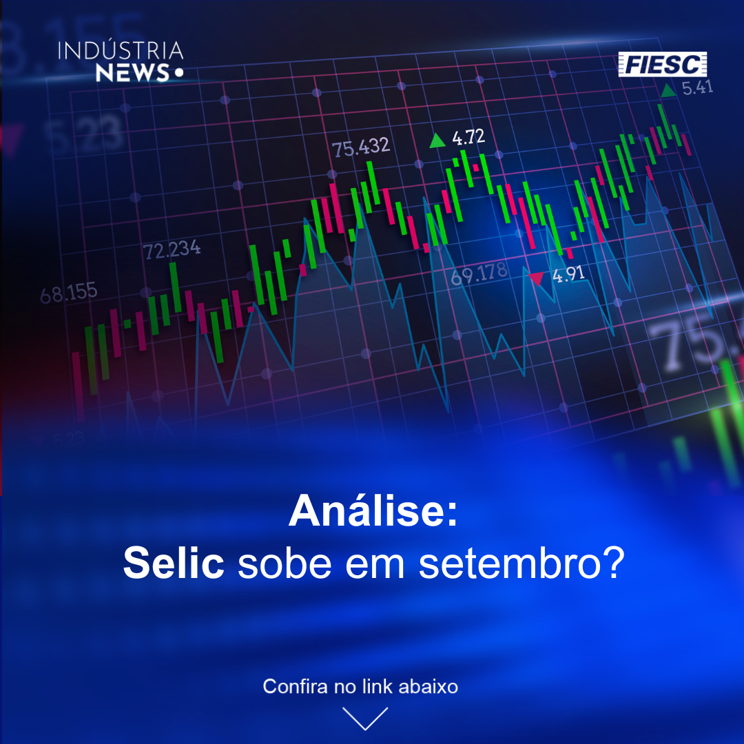 Análise: Selic sobe em setembro? | Setor de celulose vai investir R$ 105 bi