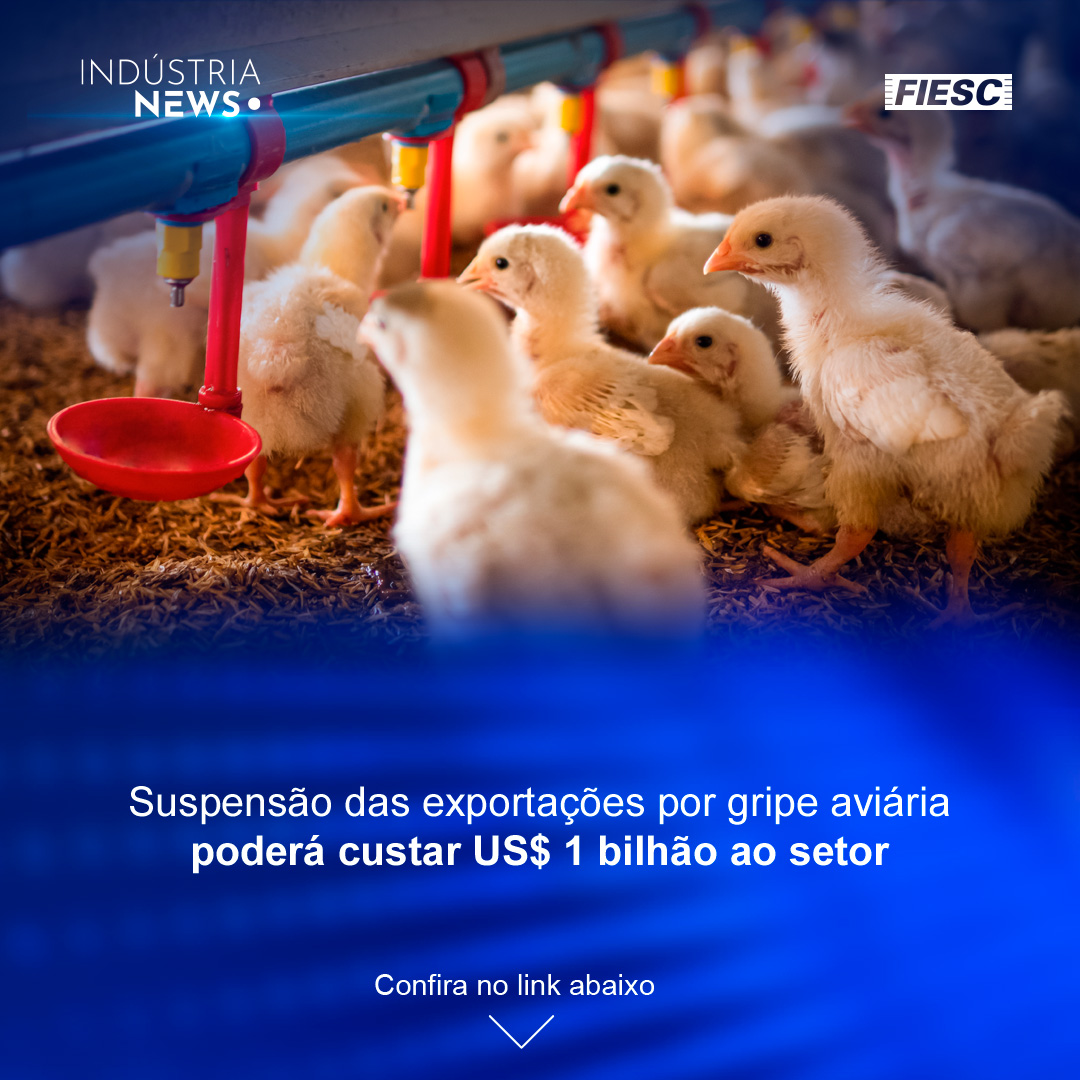 Gripe aviária pode custar US$ 1 bilhão | Aurora abre representação em Xangai