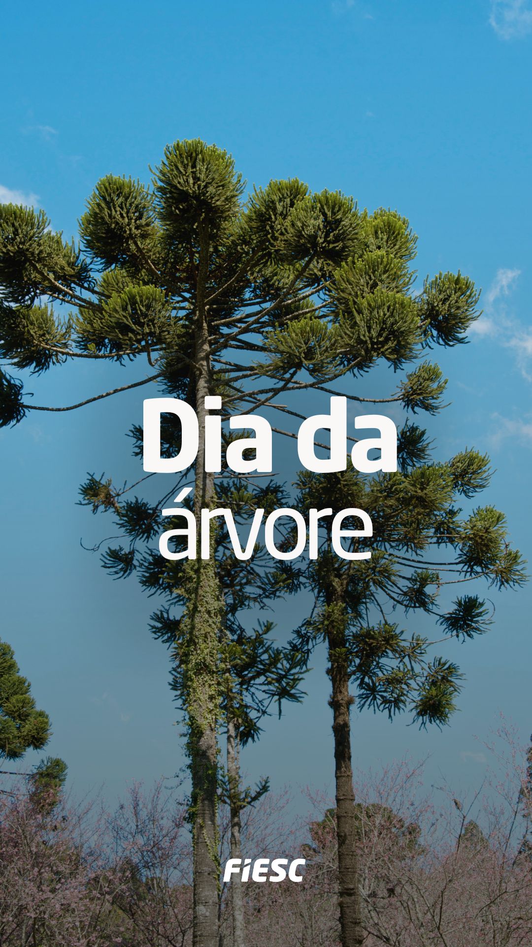 dia da árvore