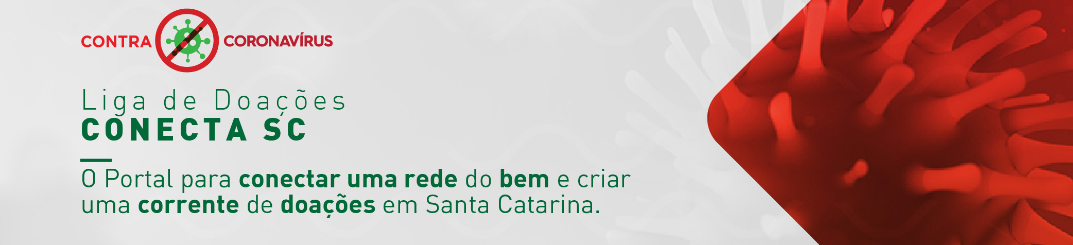 Banner Liga de doações Conecta SC