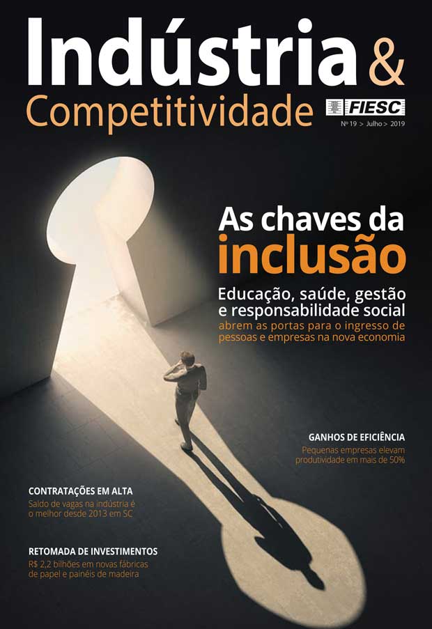 Revista indústria e competitividade 19