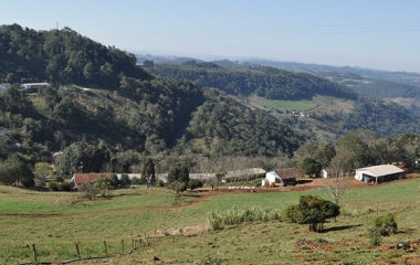 Estado de regeneração