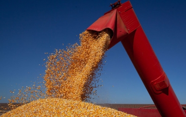 Grão é o principal insumo da agroindústria(CNA/Wenderson Araújo/Trilux)