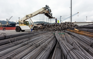 Primeiro lote importado da Turquia em 2021 (foto: divulgação TESC)