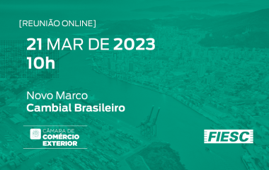 Live Novo Marco Cambial Brasileiro 