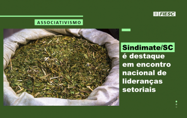 Indicação geográfica da erva-mate qualifica indústria do Planalto Norte