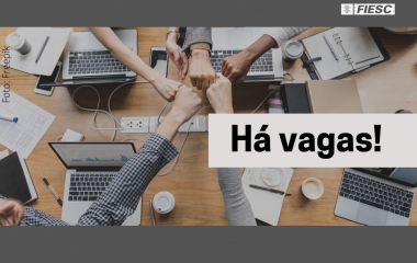 Plataforma do Movimento SC pela Educação registra mais de 800 vagas de emprego e estágio