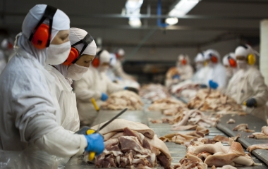 Em setembro, exportações catarinenses têm maior resultado para o mês em 25 anos