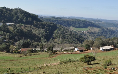 Projeto de lei defende aplicação do Código Florestal à Mata Atlântica