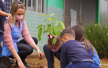 WestRock abre inscrições do programa “Juntos pela Educação” a professores da rede pública 