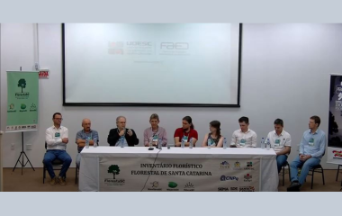Florestas nativas cobrem 38% do território catarinense