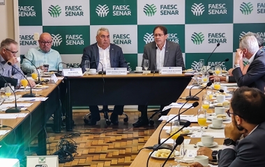 COFEM avalia impacto do comércio eletrônico nos negócios formais