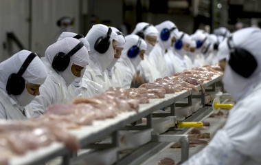 China encerra cobrança de sobretaxa no frango brasileiro 