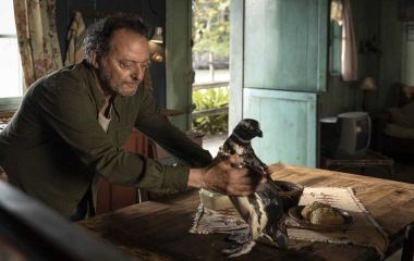 Setor audiovisual de Santa Catarina teve 429% de aumento em 10 anos, diz sindicato