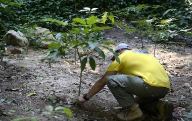 O Código Ambiental protege o meio ambiente e muito mais