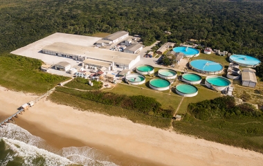 Buschle & Lepper é premiada por projeto voltado à preservação da fauna silvestre