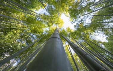 Indústria catarinense tem 16 projetos vencedores no 32° Prêmio Expressão de Ecologia