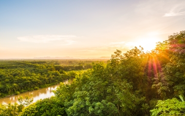 Evento aborda possibilidades para as indústrias com créditos de biodiversidade