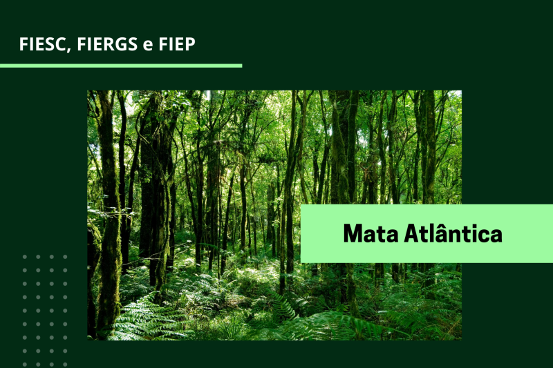Indústria do Sul defende aplicação do Código Florestal em área de Mata Atlântica