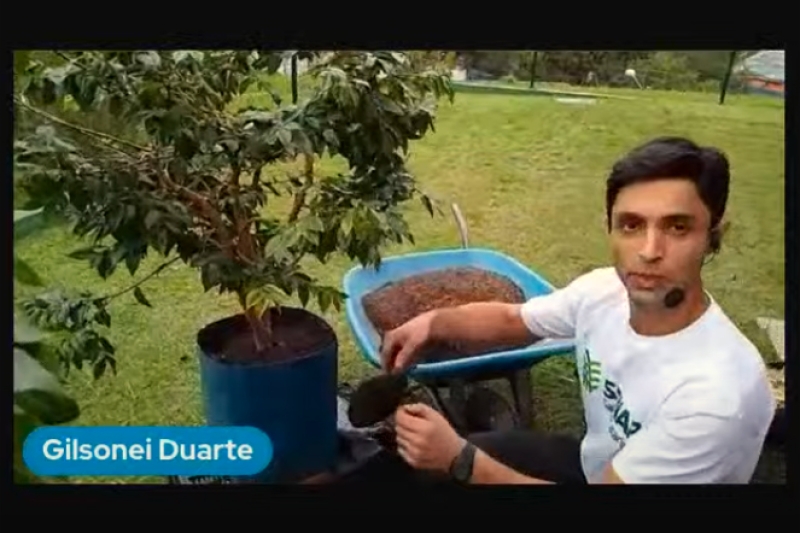 De Angelina, na região serrana da Grande Florianópolis, Gilsonei Duarte explicou procedimentos para cultivos caseiros (reprodução)