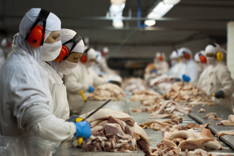 Em setembro, os embarques de carne representaram 30% das exportações de SC (foto: Plínio Bordin)