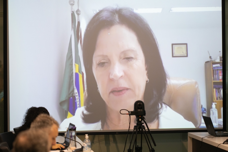 Deputada Ângela Amin, coordenadora do Fórum Parlamentar Catarinense, participou de forma virtual (foto: Filipe Scotti)