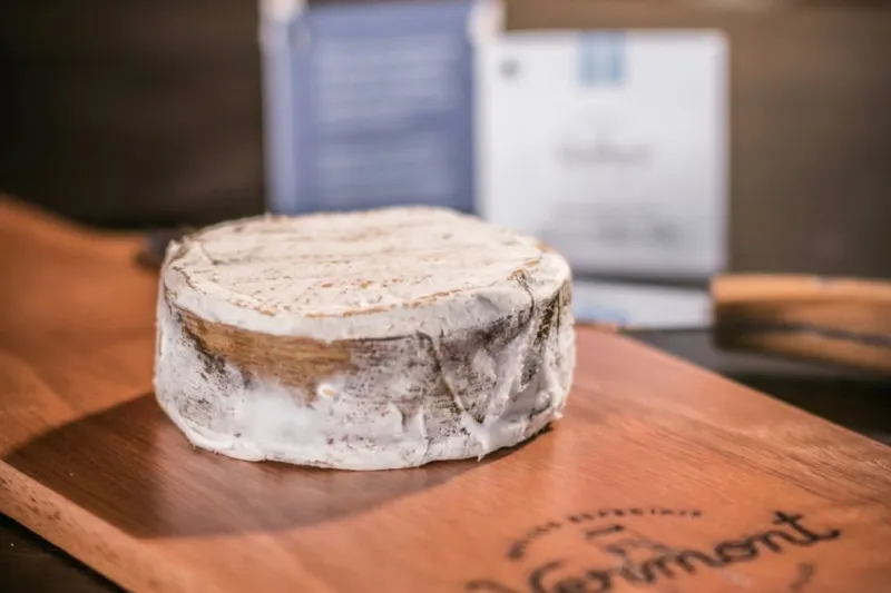 Queijo criado pela Pomerode Alimentos é suave e cremoso, livre de lactose. Foto: Divulgação