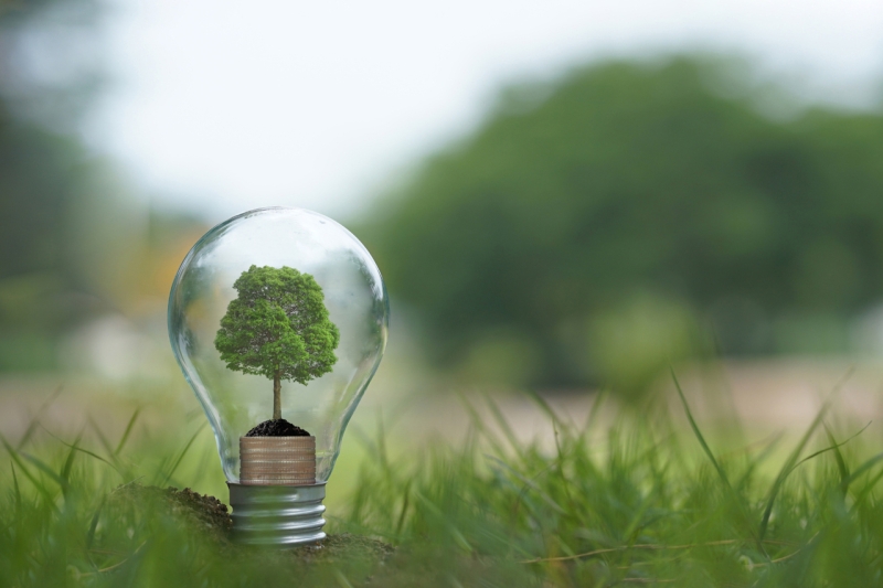 Projetos focam eficiência energética