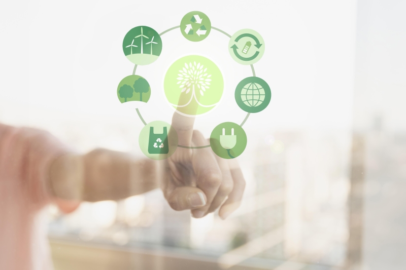 Catarinenses integram edição 2025 do índice de sustentabilidade da B3