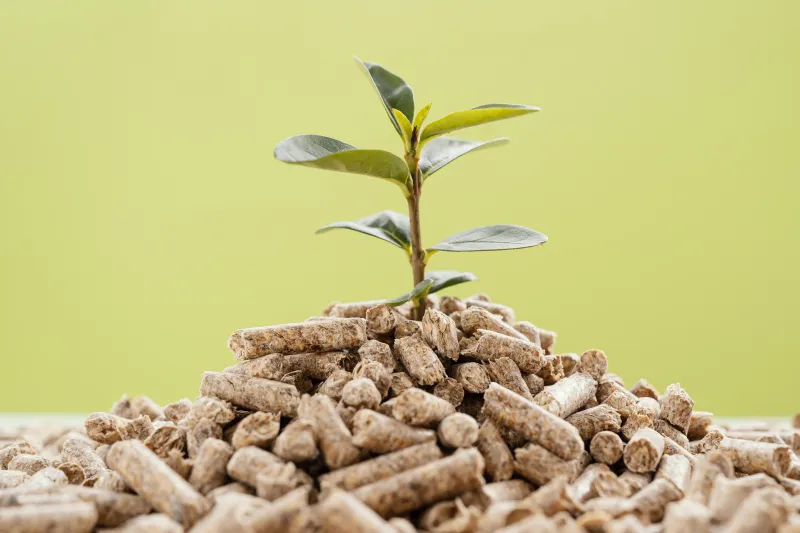 Pellets podem ser alternativa viável para indústrias reduzirem emissões
