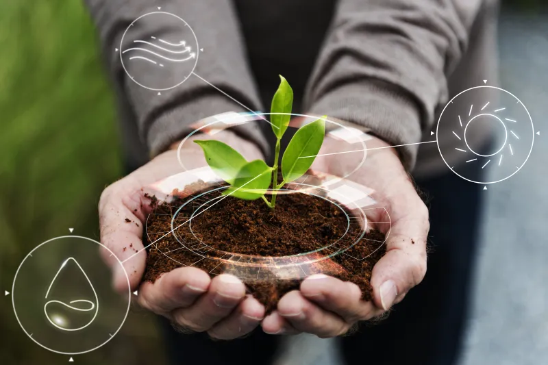 Participação do setor produtivo é essencial na regulamentação do mercado de carbono