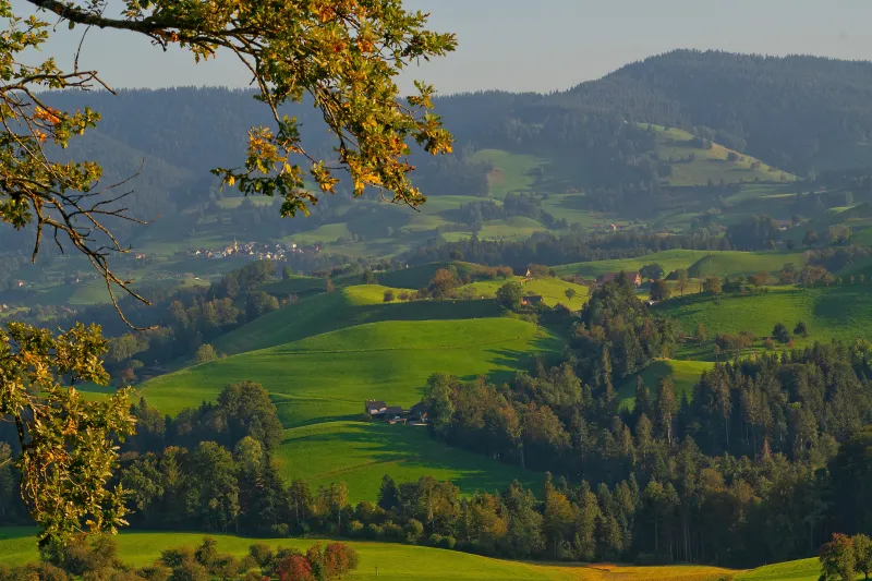 Atualização das normas dá mais segurança jurídica, diz FIESC. (foto: Freepik)
